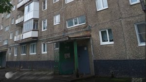 «Третий год пишу заявления»: вода из межпанельных швов льет прямо в квартиру мурманчанки на Книповича