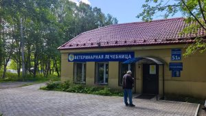 В Мурманской области ветклиники срочно приостановили применение четырех серий вакцины «Мультикан»