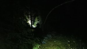 В Мурманской области 85-летняя бабушка провела двое суток в лесу под дождем