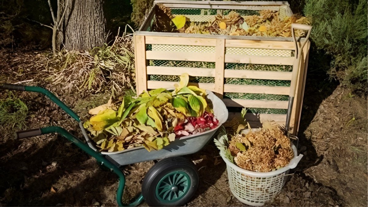 компостная куча осенью