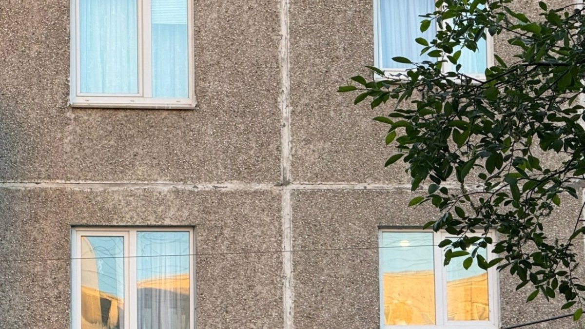 Стена панельного дома