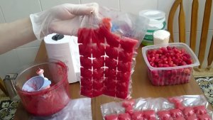 Ягоды впрок: 4 вида заготовок — сохраняем вкус лета