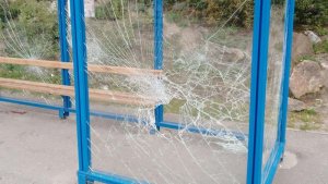 Напали на петунии и разбили остановку «с ноги»: в Мурманске поймали крушивших городское имущество хулиганов