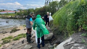 Во время субботника в Североморске волонтеры протестируют методику учета морского мусора