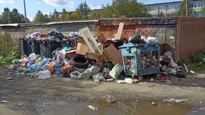 «Ещё удивляются, что крысы повсюду»: в Апатитах обострилась проблема с вывозом мусора