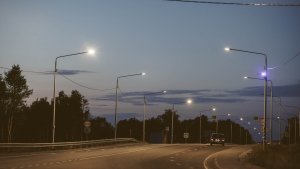В Мурманске на Невского лихач сбил напуганную лайку и скрылся
