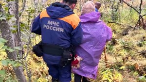Под Мурманском спасатели на квадроциклах вызволили из леса 80-летнюю пенсионерку-грибника