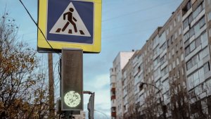 Мусор на обочину в шаге от урны: в Кандалакше водитель устроил «свалку» по дороге к школе
