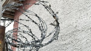 Вместо работы — в колонию: в Мончегорске мать-алиментщицу отправили за решетку из-за прогулов