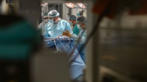 Лучшие онкологи и радиотерапевты: в Мурманск съехались врачи со всей России