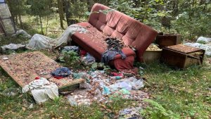 Вместо грибов — гора хлама: под Кандалакшей дачники наткнулись на свалку в лесу