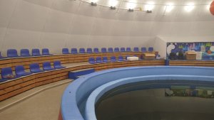 Мурманский океанариум спасен: Россельхознадзор выдал бессрочную лицензию после ремонта