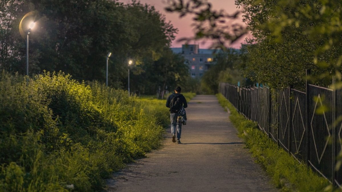 Мужчина идет по аллее летом в темное время суток.
