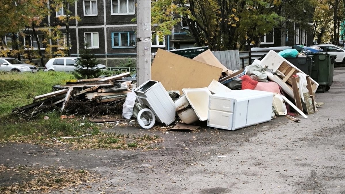 Контейнерная площадка завалена мусором.