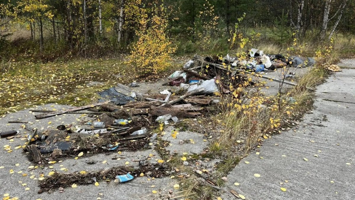 Хлам в лесу Заполярья