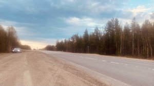 На печенгской трассе «Мерседес» разбился после удара о лося