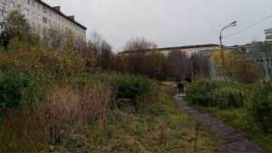 «Идти сложно в плохую погоду»: мурманчане предложили отсыпать гравием дорожку к школе на Халатина