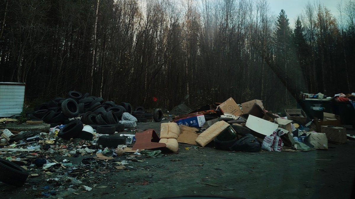 Свалка покрышек у леса