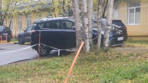 «Скоро останемся без зелени»: в Апатитах автохамы разгромили колесами газоны на ул. Ферсмана