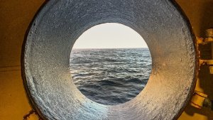 Четыре вида допинга в каюте: в Мурманске осудили моряка за контрабанду наркотиков на судне
