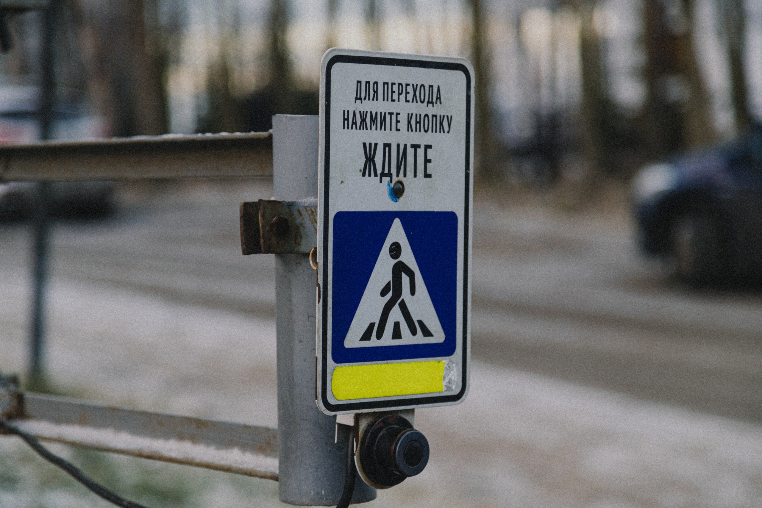 В Мурманской области за 9 дней ГАИ выявила почти 300 пешеходов-нарушителей