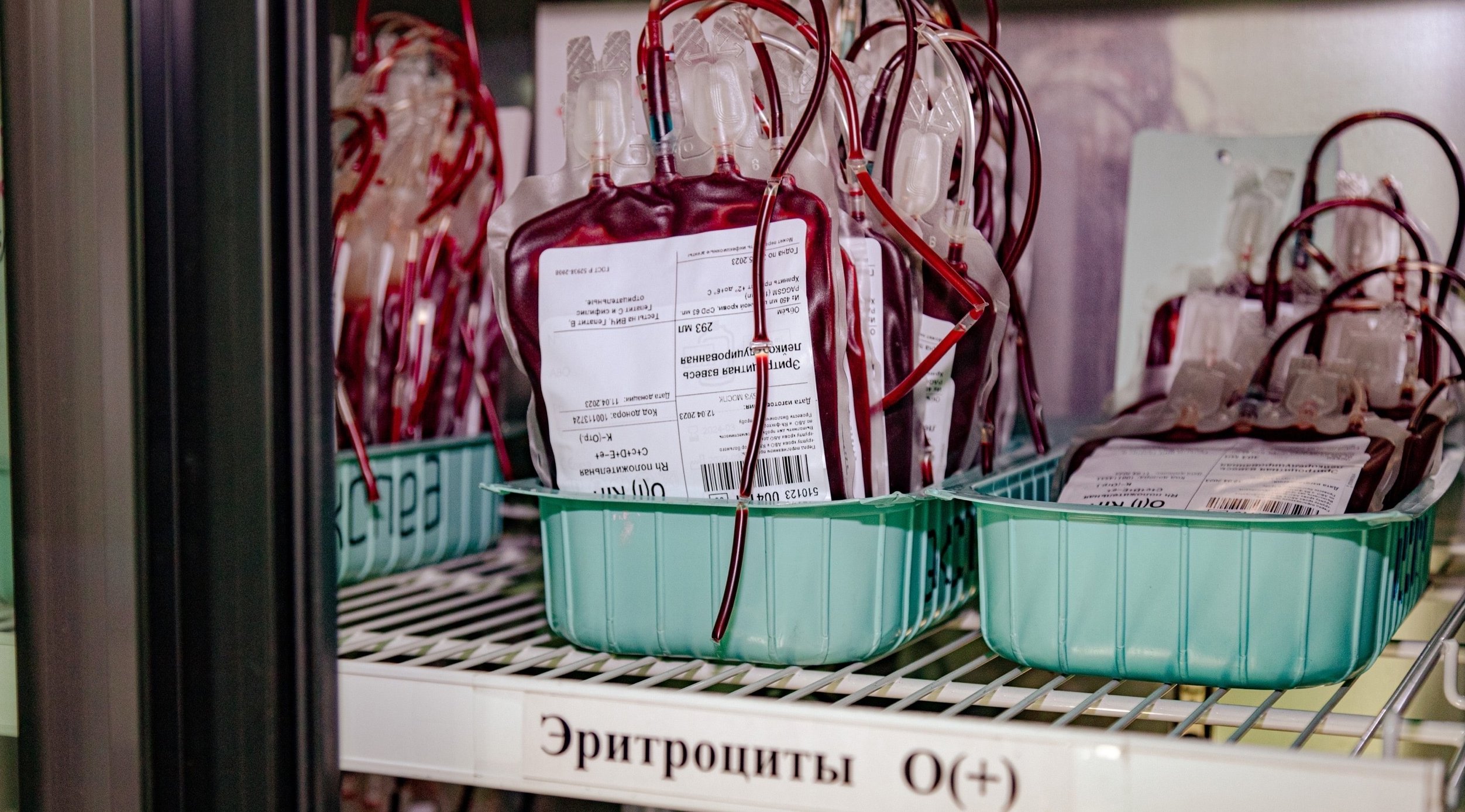 Более 23 литров крови собрали в Полярном в ходе донорской акции