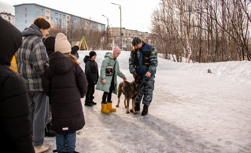 Кинологи с четвероногими напарниками пришли в гости к юным мурманчанам в пришкольный лагерь