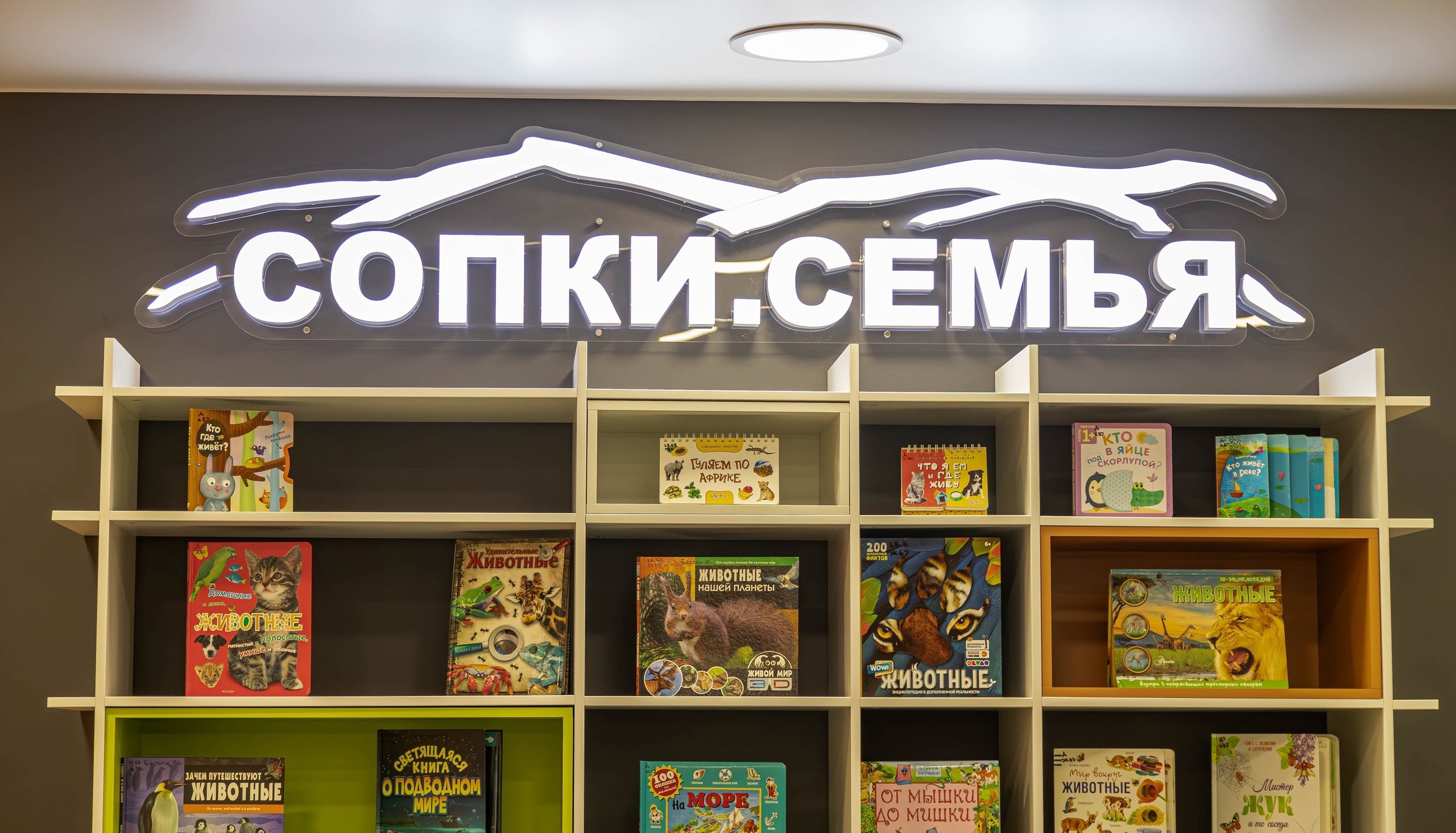 О причинах и симптомах бронхиальной астмы у детей расскажут на лекции в мурманских «Сопках»