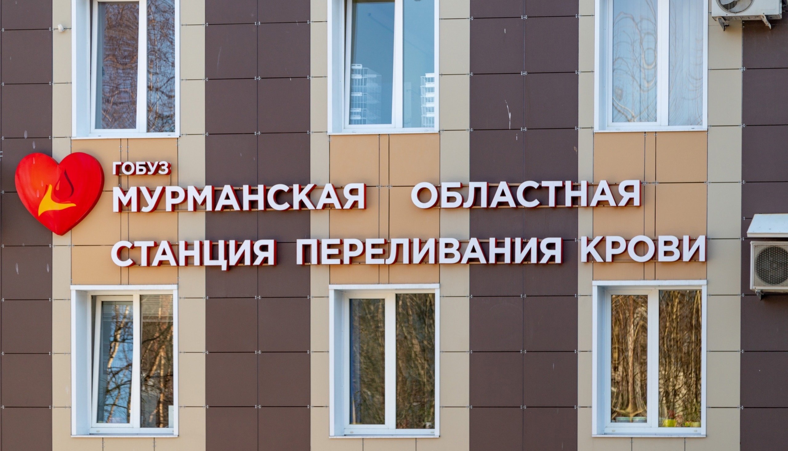 В Мурманске возобновляют прием доноров на аппаратный плазмаферез