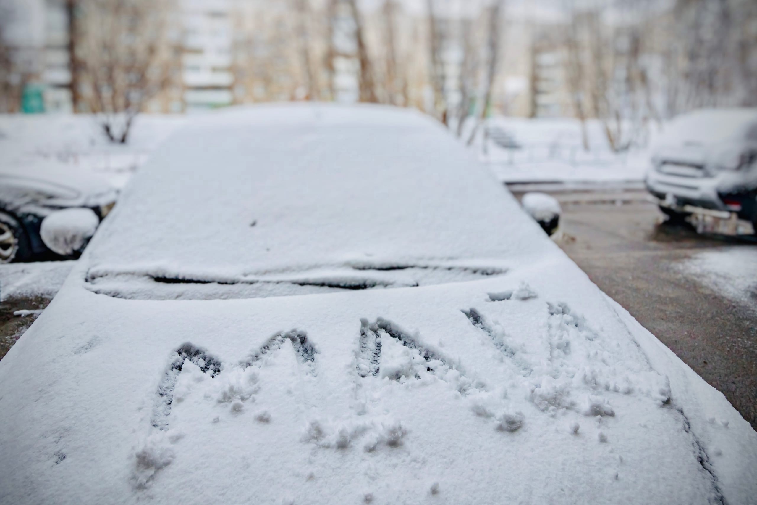 +4+9°: в Мурманскую область после теплых 1 и 2 мая придет похолодание