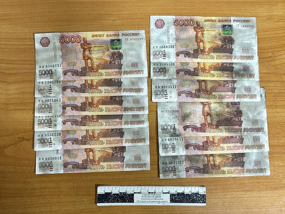 В Коле мигрант пытался дать взятку полицейскому — нарушителя до суда взяли под стражу и забрали машину