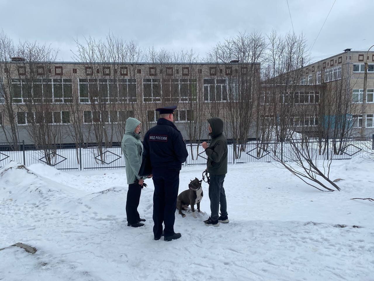 В Мурманске домашние собаки загадили берега озера Глубокого — прошла проверка