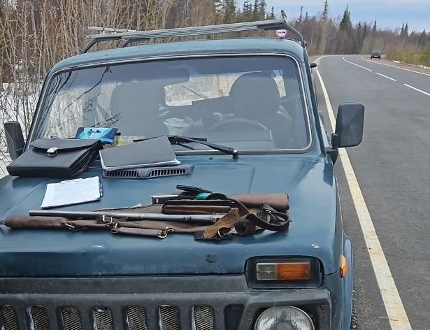 В Мурманской области за неделю поймали 17 охотников-браконьеров