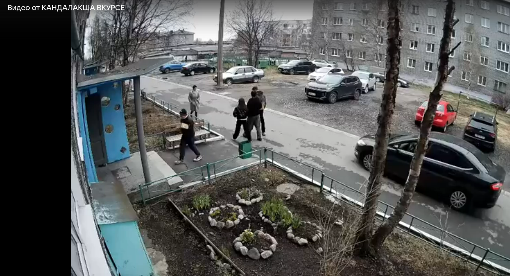 В Кандалакше в подъезд жилого дома подкинули щенка в коробке — соцсети