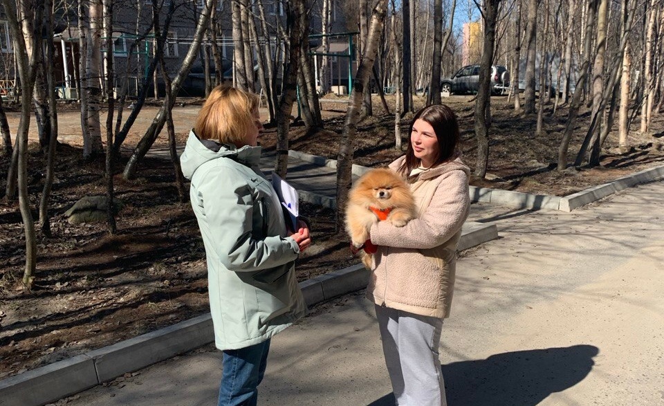В Оленегорске искали нерадивых владельцев собак – итоги рейда