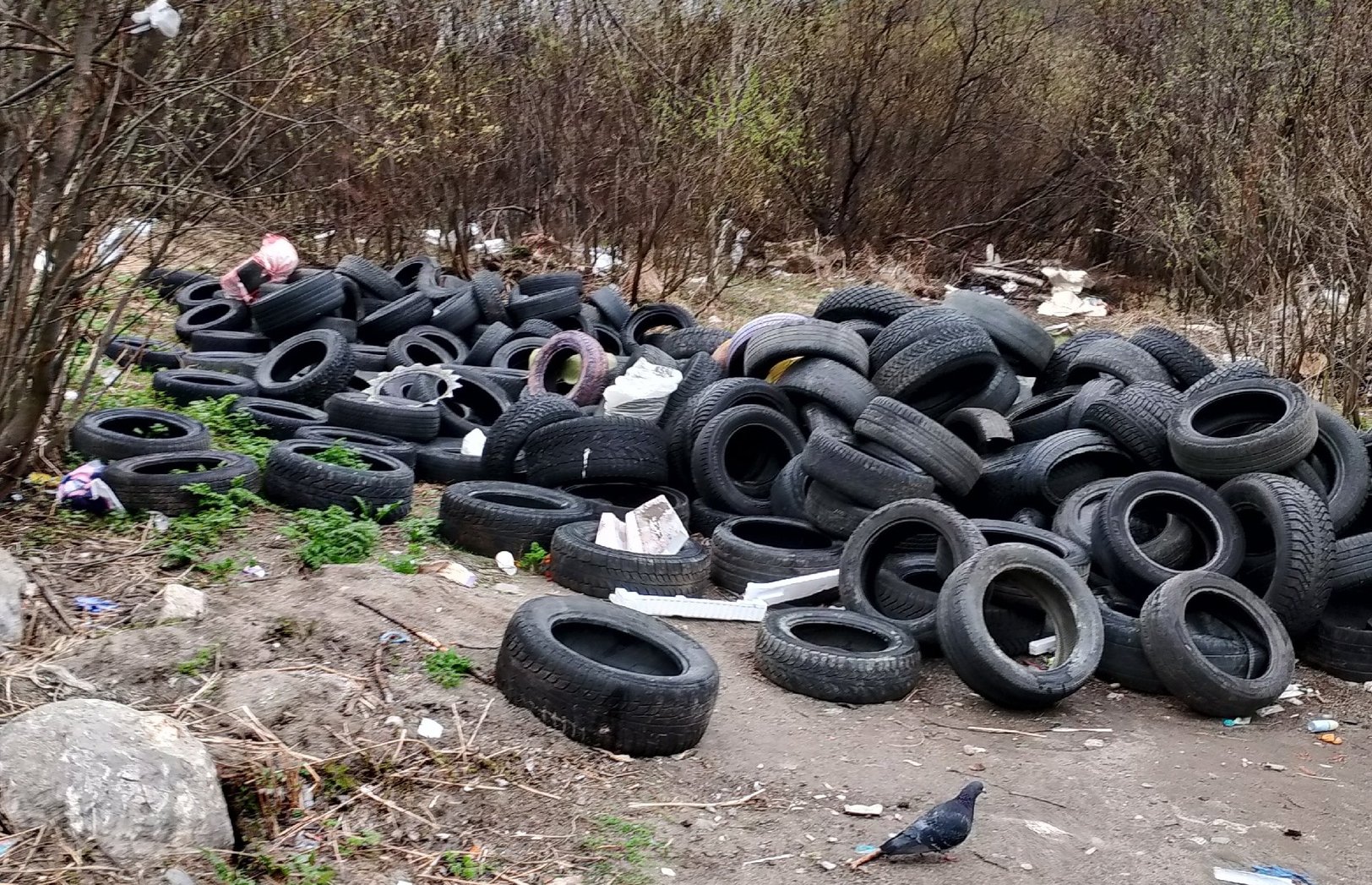 В мурманском Росляково устроили крупную свалку шин