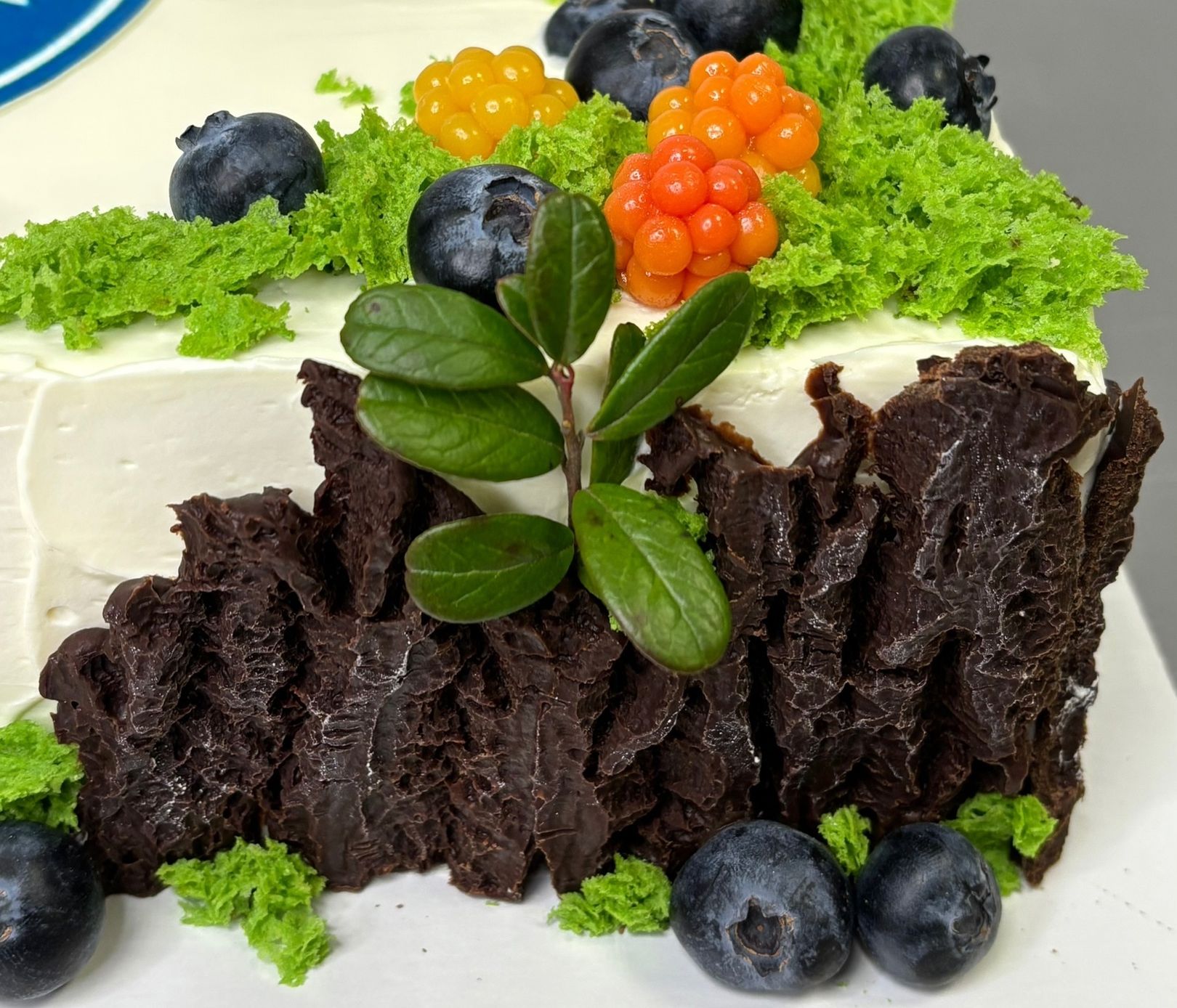 Морошка из мармелада, мох из бисквита - мурманские кондитеры создали торт с северным «характером»