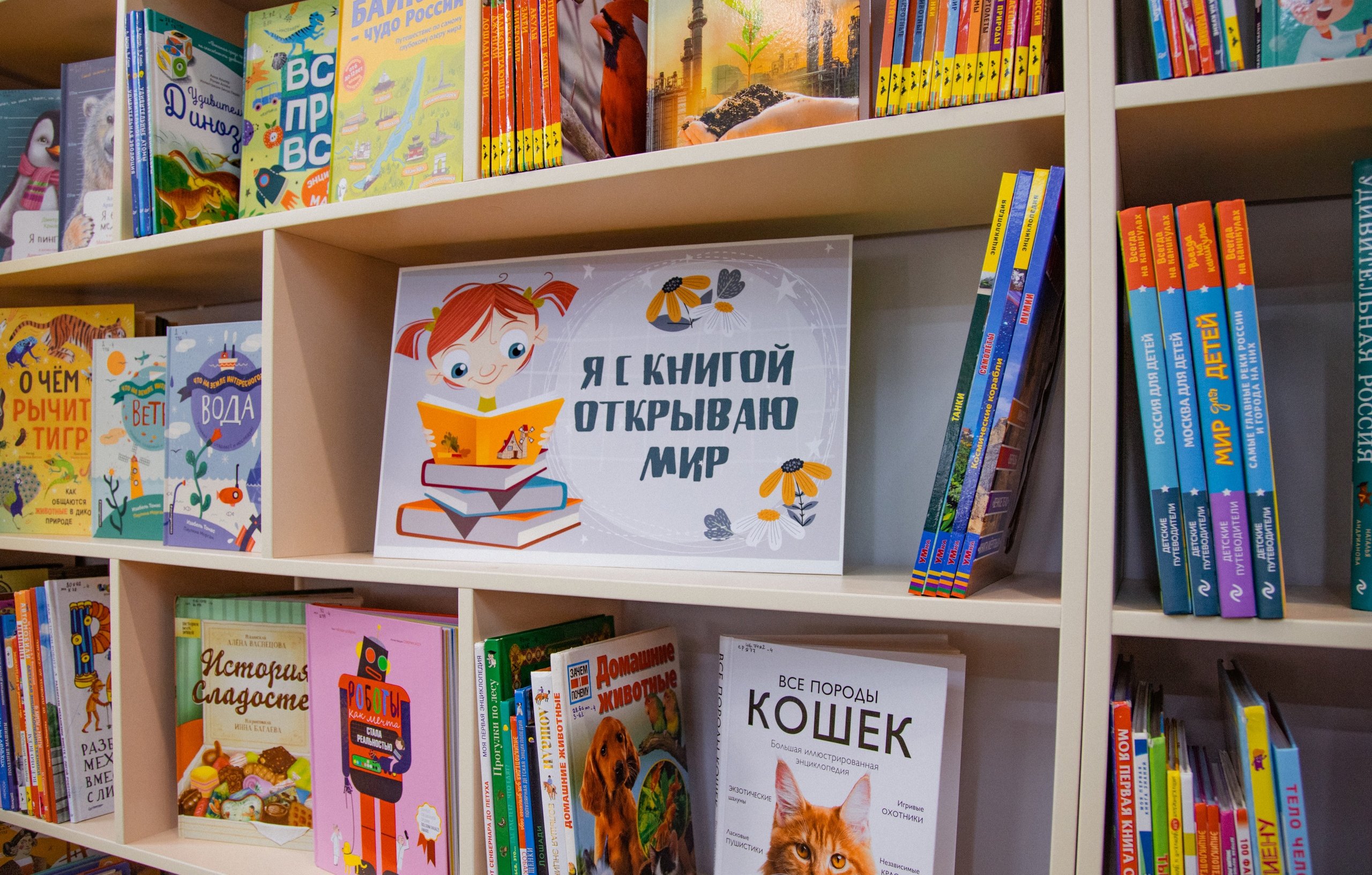 Филолог Мария Смолина: Русский язык по-настоящему велик потому, что он гибкий, устойчивый и удивительно восприимчивый