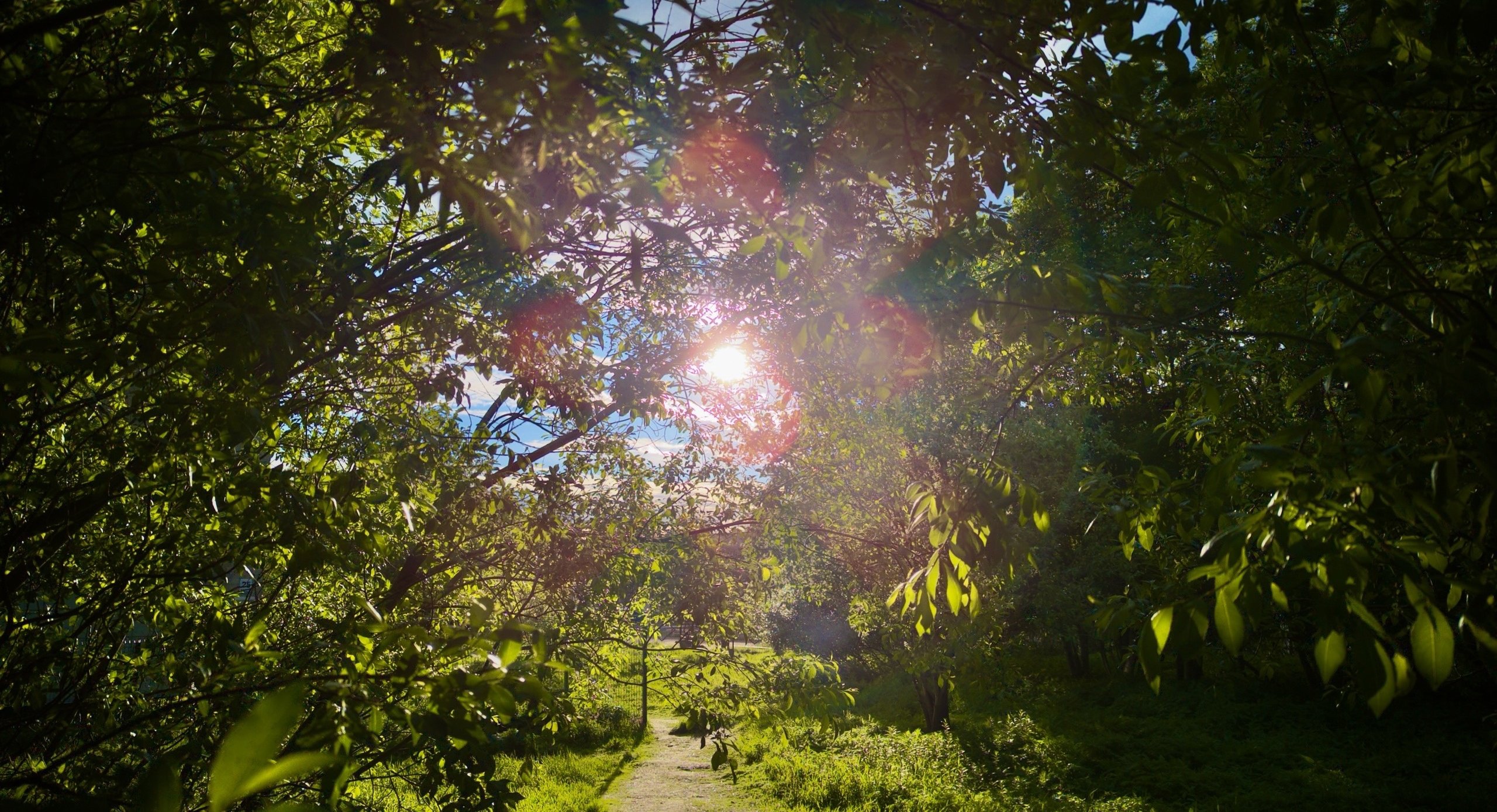 Высокий класс пожарной опасности объявлен в Мурманске на выходные