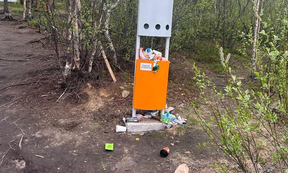 Урну для сбора собачьих экскрементов на мурманской «Снежинке» завалили обычным мусором