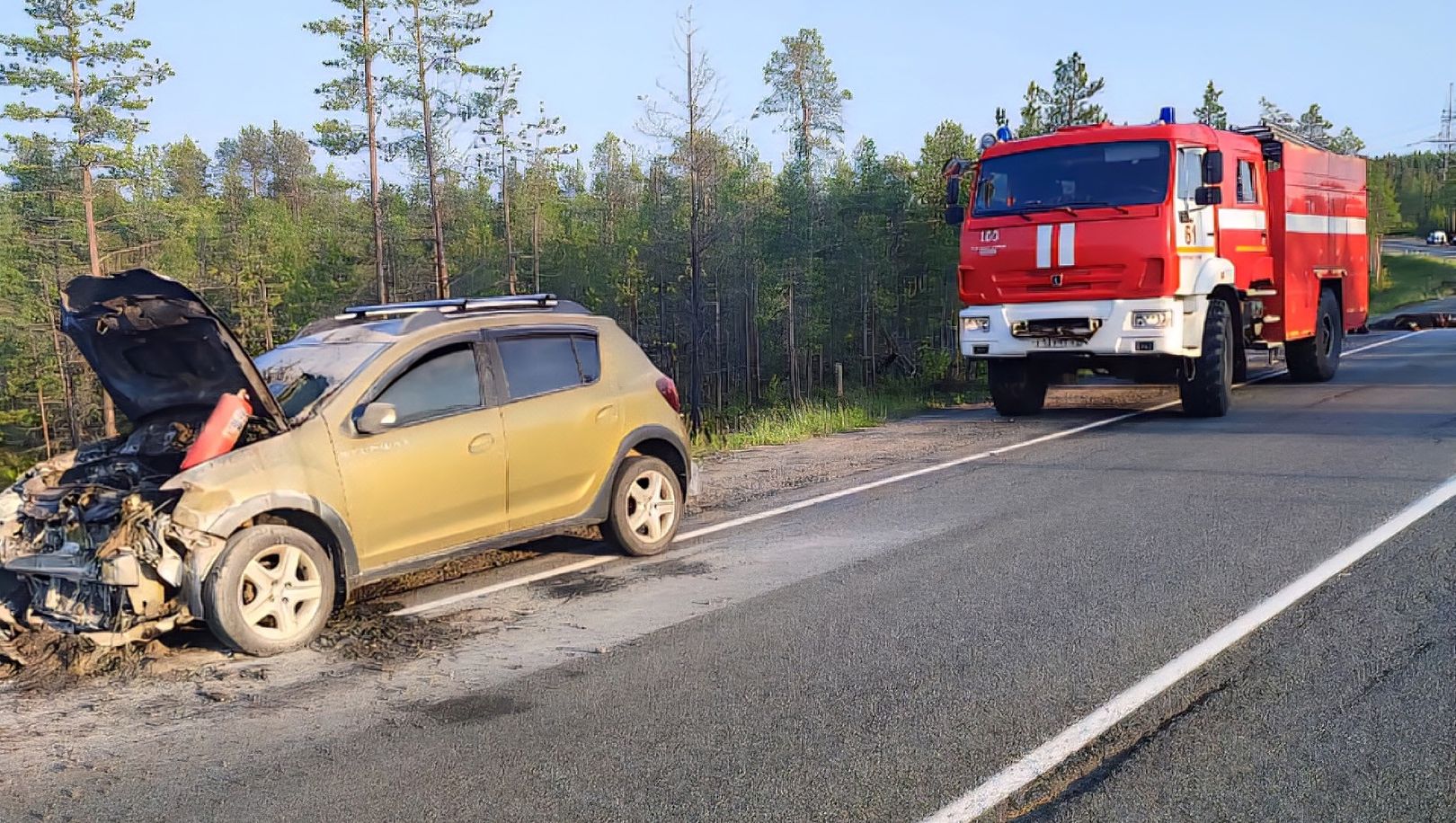 Погиб лось, обгорела иномарка: под Полярными Зорями сбитого Audi сохатого откинуло на Sandero