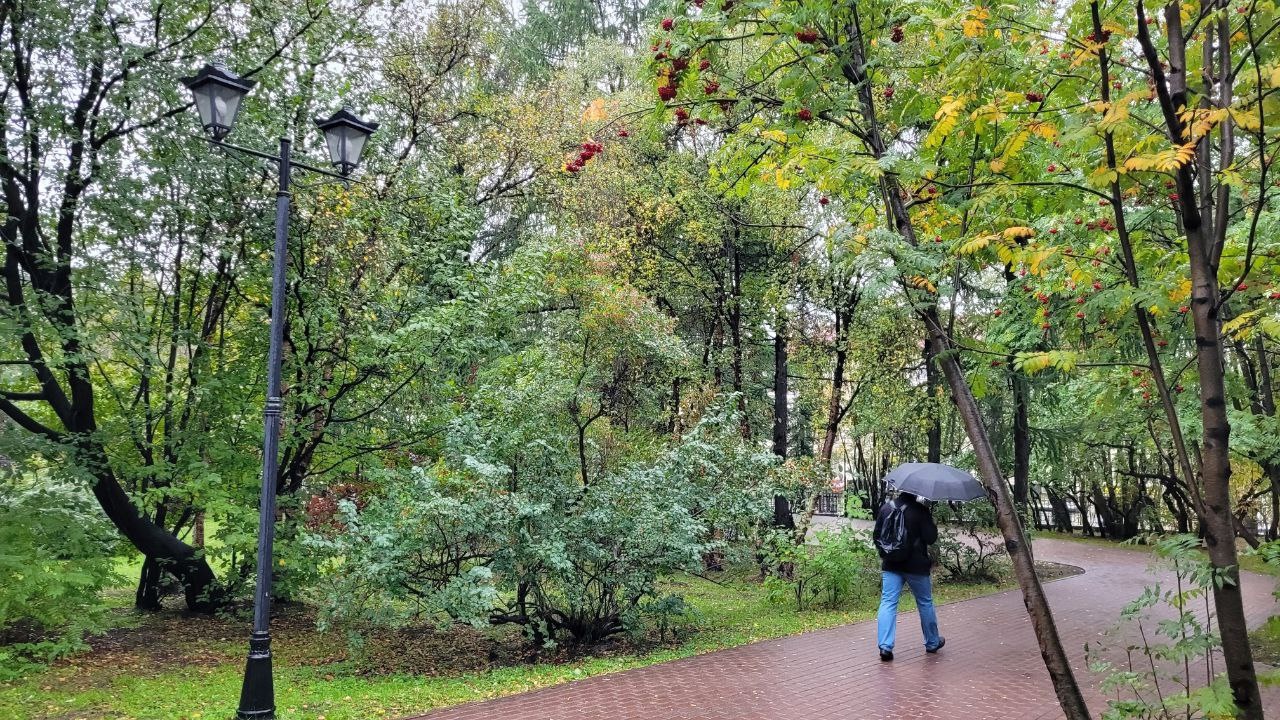 В Мурманске 17 июня воздух прогреется до +18° на день, потом снова — холод и дождь