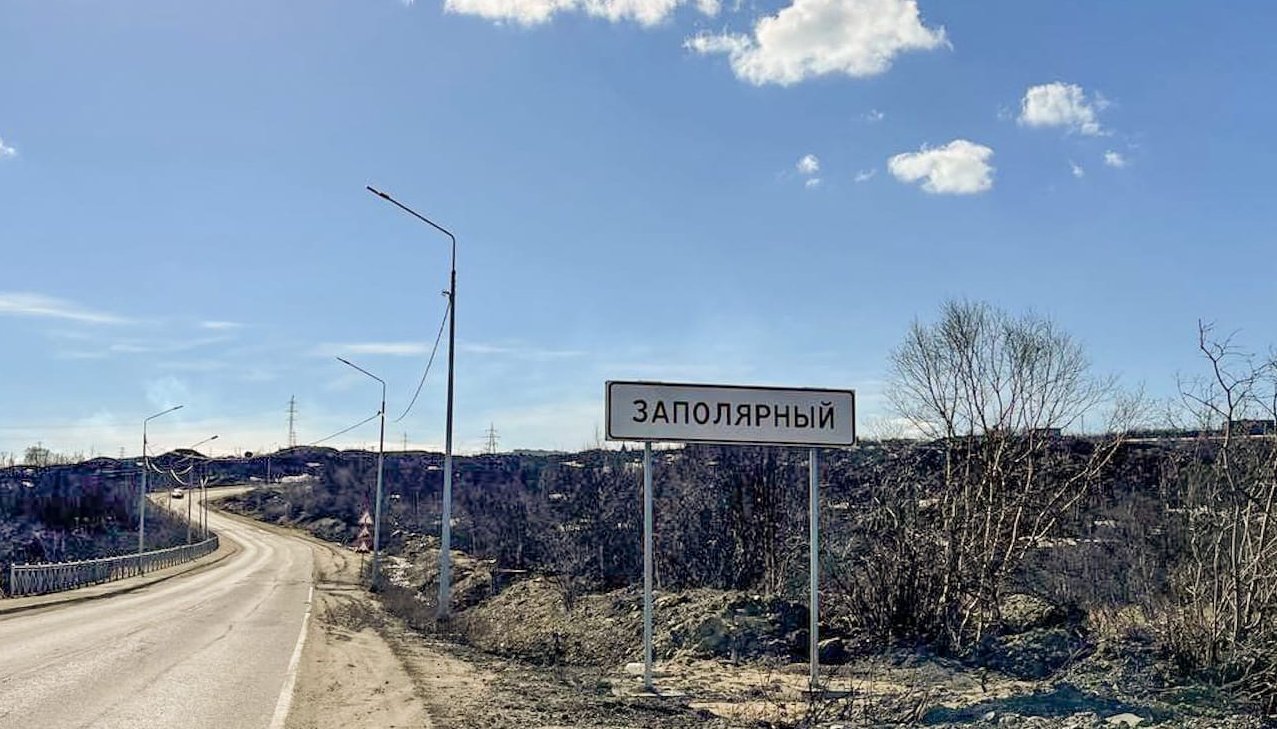 Медведь бродит по федеральной трассе возле Заполярного