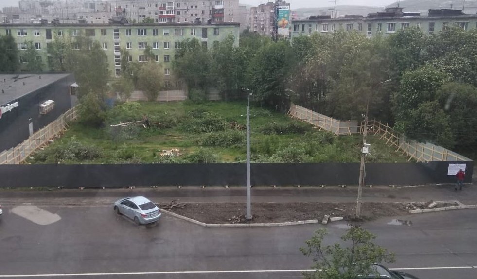 «Лучше бы сделали сквер»: мурманчане возмутились вырубкой деревьев на ул. Книповича