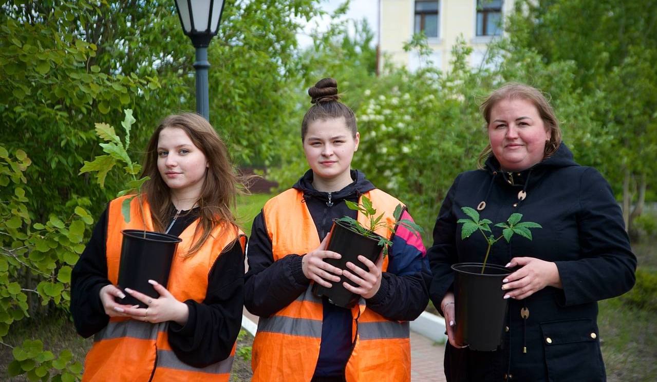 «С надеждой, что приживутся»: в Никеле для эксперимента высадили саженцы дубов и каштанов