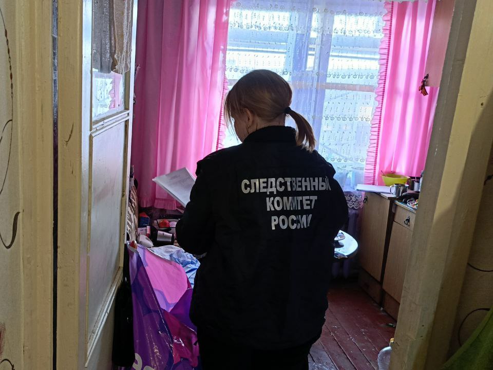 В Алакуртти пьяное застолье устроили пенсионерки — одна зарезала другую