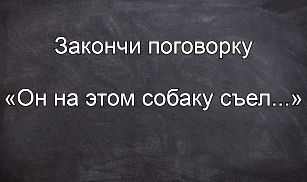 Не все используют эту поговорку верно: знаете ли вы окончание фразы «Он на этом собаку съел…» — кто ответил верно, тому 5 по литературе