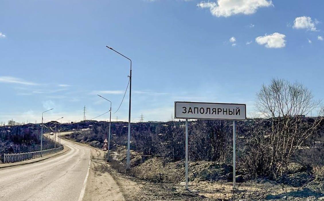 На дороге под Заполярным бродит молодой медведь