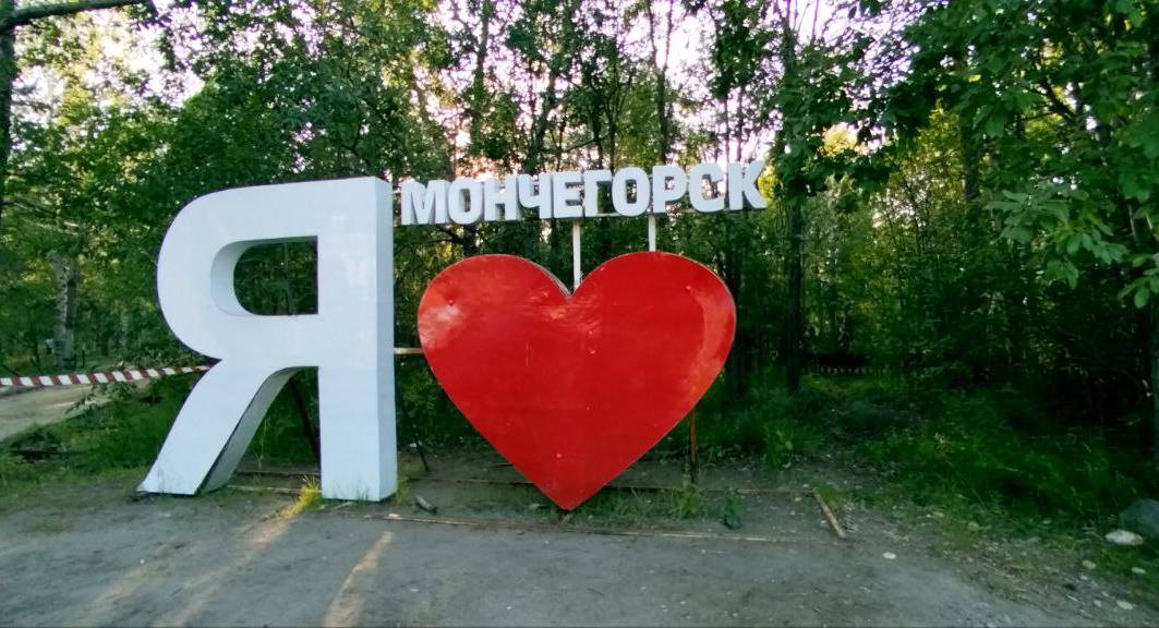 В Мончегорске приступили к санитарной вырубке деревьев — забрать их на дрова нельзя