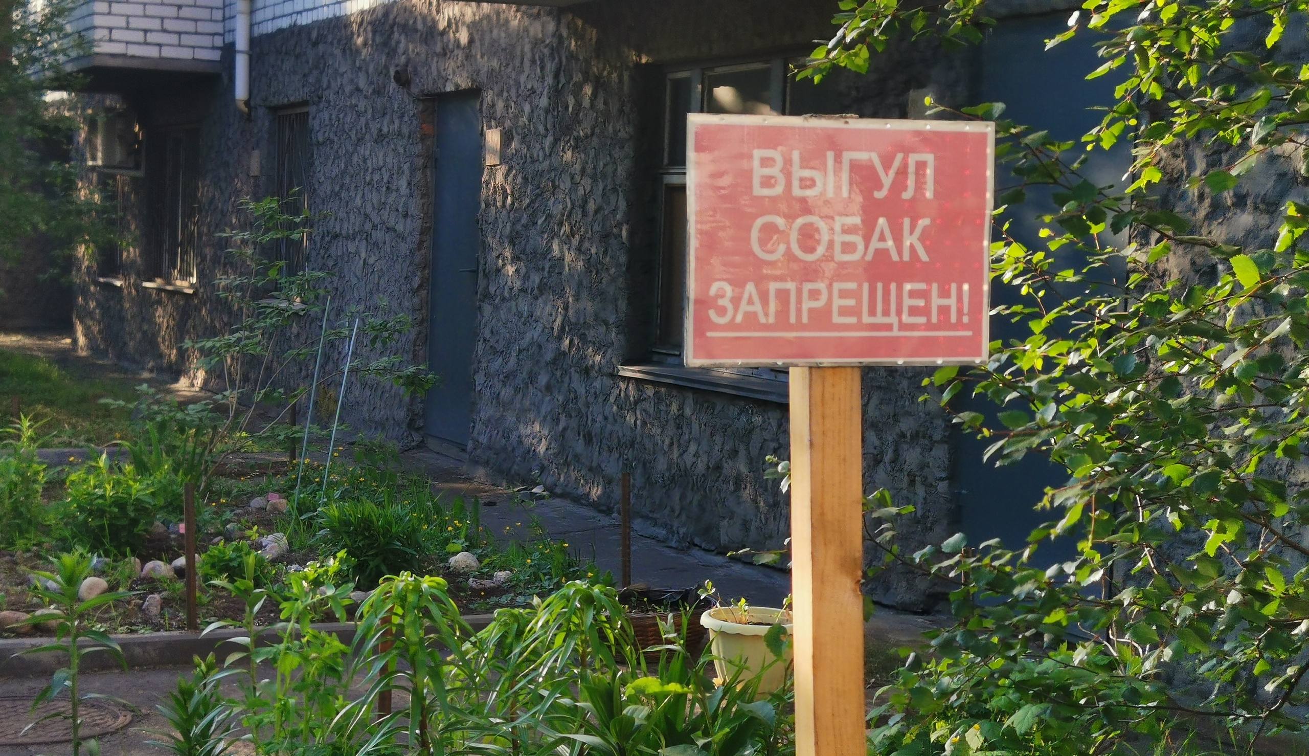 Гулять невозможно, везде «мины»: собачники облюбовали детскую площадку в Полярном